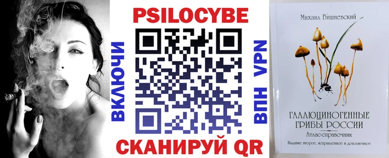 гидра зеркало  купить   Починок  Псилоцибиновые грибы Psilocybine cubensis 